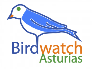 BIRDWATCH ASTURIAS